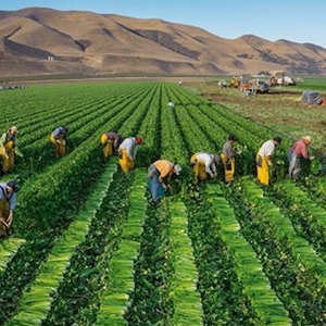 aplicaciones de uso control de flotas gonor (5)